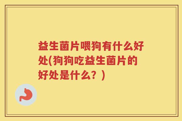 益生菌片喂狗有什么好处(狗狗吃益生菌片的好处是什么？)