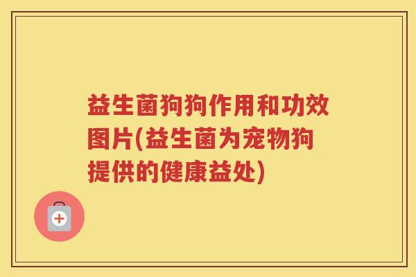 益生菌狗狗作用和功效图片(益生菌为宠物狗提供的健康益处)