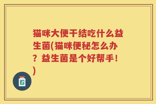 猫咪大便干结吃什么益生菌(猫咪怎么办？益生菌是个好帮手！)