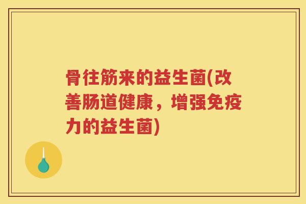 骨往筋来的益生菌(改善肠道健康，增强力的益生菌)