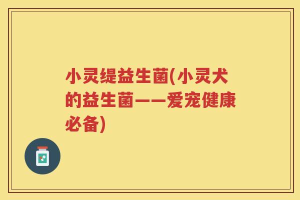 小灵缇益生菌(小灵犬的益生菌——爱宠健康必备)