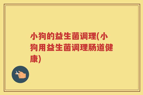 小狗的益生菌调理(小狗用益生菌调理肠道健康)