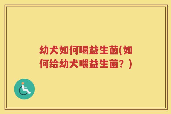 幼犬如何喝益生菌(如何给幼犬喂益生菌？)
