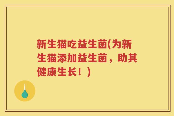 新生猫吃益生菌(为新生猫添加益生菌，助其健康生长！)
