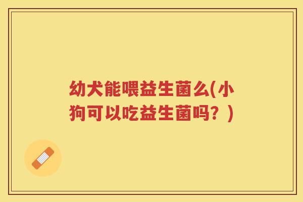 幼犬能喂益生菌么(小狗可以吃益生菌吗？)
