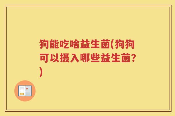 狗能吃啥益生菌(狗狗可以摄入哪些益生菌？)