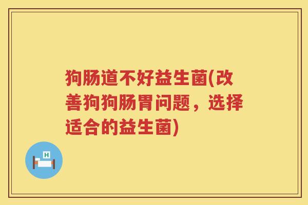 狗肠道不好益生菌(改善狗狗肠胃问题，选择适合的益生菌)