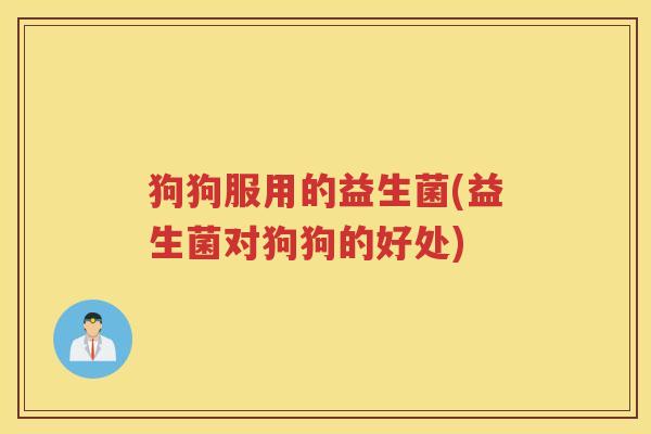 狗狗服用的益生菌(益生菌对狗狗的好处)