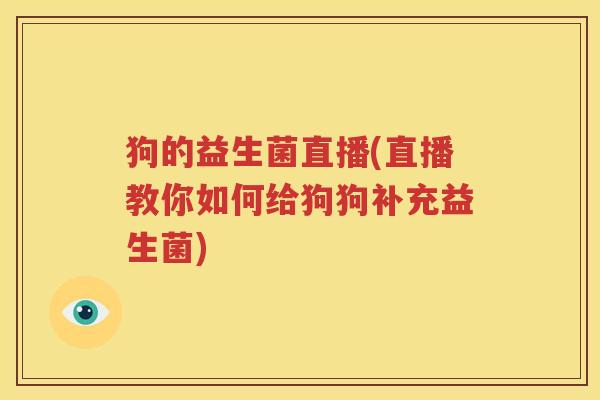 狗的益生菌直播(直播教你如何给狗狗补充益生菌)