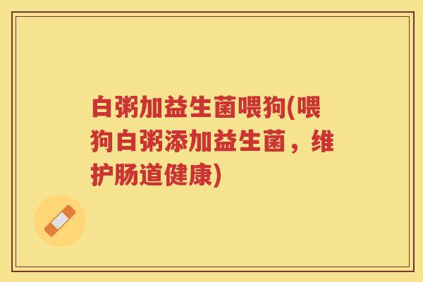 白粥加益生菌喂狗(喂狗白粥添加益生菌，维护肠道健康)