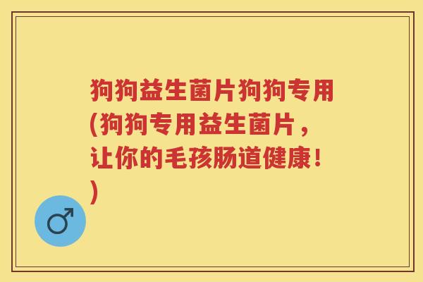 狗狗益生菌片狗狗专用(狗狗专用益生菌片，让你的毛孩肠道健康！)