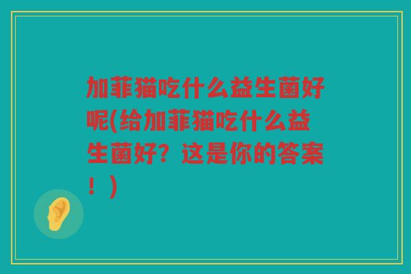 加菲猫吃什么益生菌好呢(给加菲猫吃什么益生菌好？这是你的答案！)