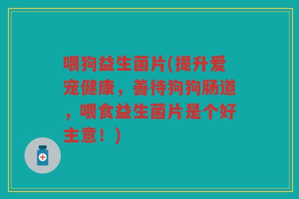 喂狗益生菌片(提升爱宠健康，善待狗狗肠道，喂食益生菌片是个好主意！)