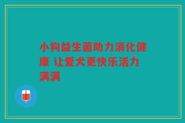 小狗益生菌助力消化健康 让爱犬更快乐活力满满