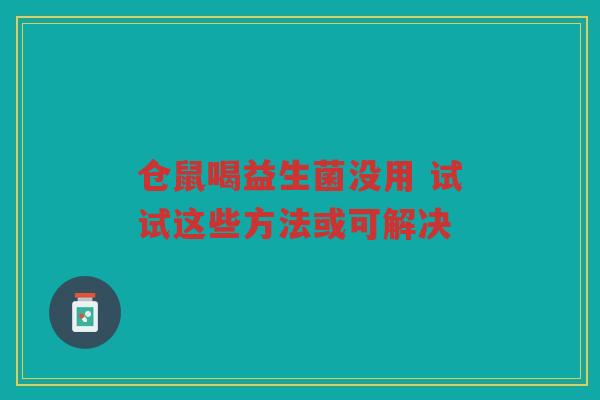 仓鼠喝益生菌没用 试试这些方法或可解决