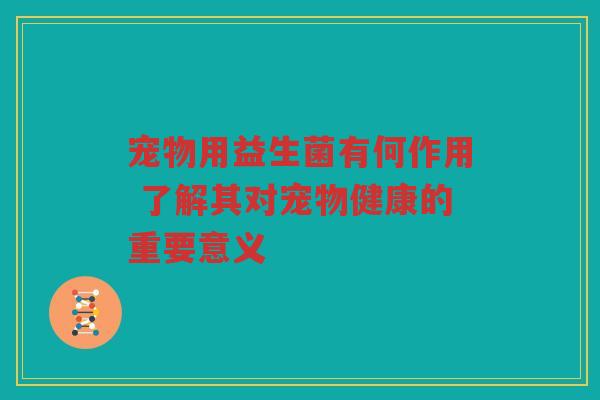 宠物用益生菌有何作用 了解其对宠物健康的重要意义