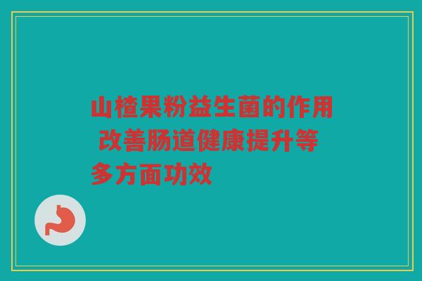 山楂果粉益生菌的作用 改善肠道健康提升等多方面功效