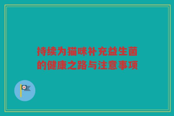持续为猫咪补充益生菌的健康之路与注意事项