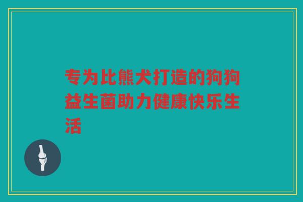 专为比熊犬打造的狗狗益生菌助力健康快乐生活