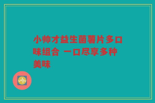小帅才益生菌薯片多口味组合 一口尽享多种美味