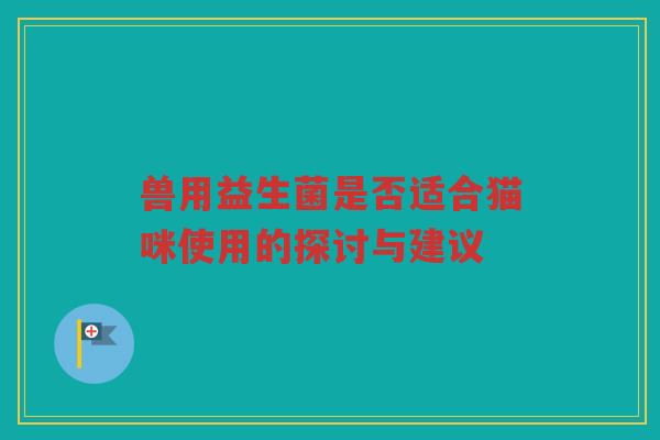 兽用益生菌是否适合猫咪使用的探讨与建议