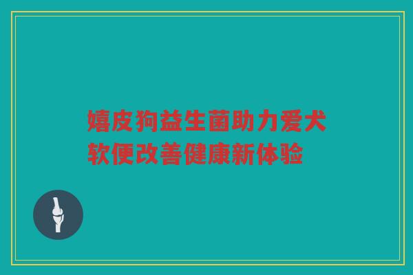 嬉皮狗益生菌助力爱犬软便改善健康新体验