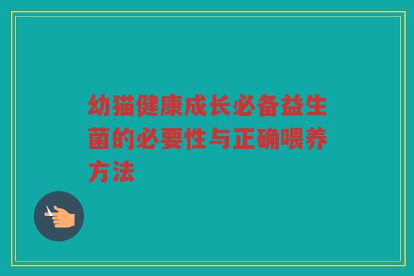 幼猫健康成长必备益生菌的必要性与正确喂养方法