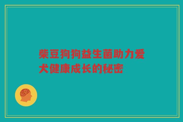 柴豆狗狗益生菌助力爱犬健康成长的秘密