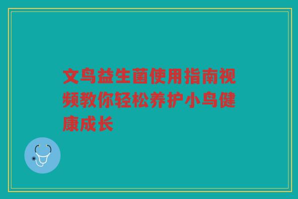 文鸟益生菌使用指南视频教你轻松养护小鸟健康成长