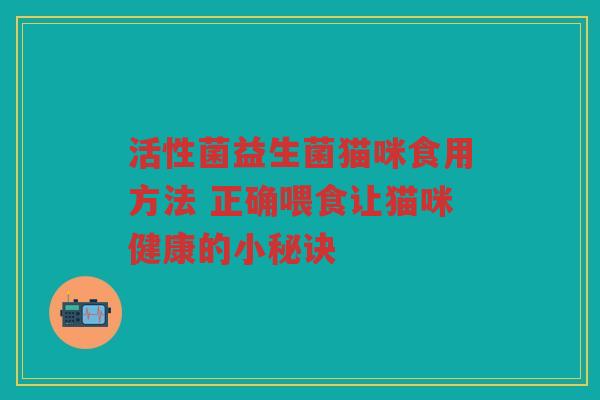 活性菌益生菌猫咪食用方法 正确喂食让猫咪健康的小秘诀