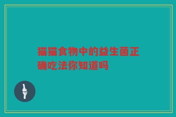 猫猫食物中的益生菌正确吃法你知道吗