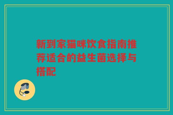 新到家猫咪饮食指南推荐适合的益生菌选择与搭配