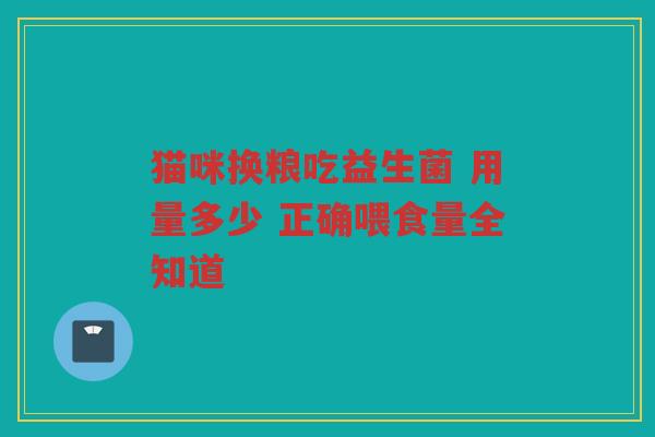 猫咪换粮吃益生菌 用量多少 正确喂食量全知道