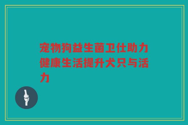 宠物狗益生菌卫仕助力健康生活提升犬只与活力
