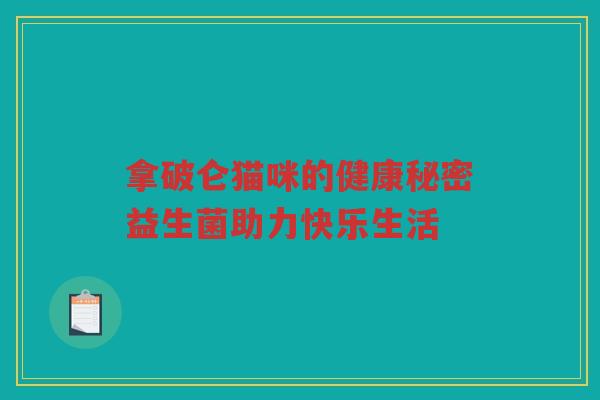 拿破仑猫咪的健康秘密益生菌助力快乐生活