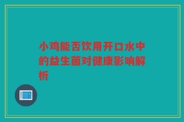 小鸡能否饮用开口水中的益生菌对健康影响解析
