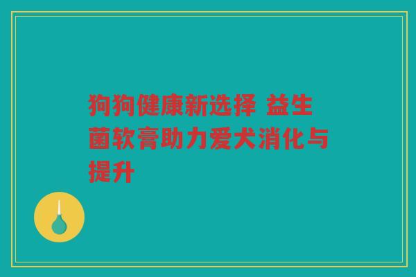狗狗健康新选择 益生菌软膏助力爱犬消化与提升