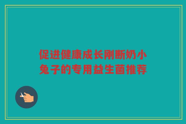 促进健康成长刚断奶小兔子的专用益生菌推荐