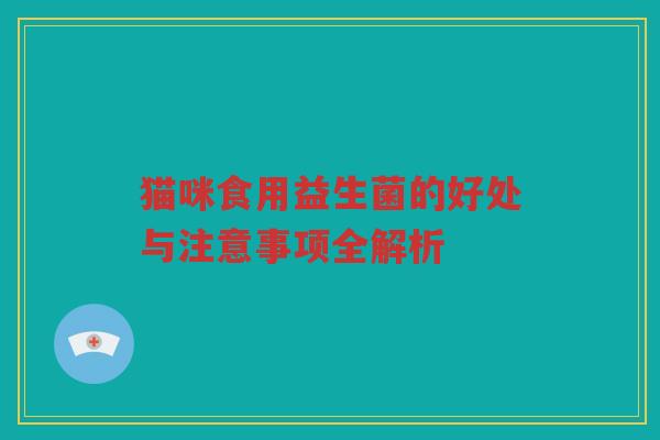 猫咪食用益生菌的好处与注意事项全解析