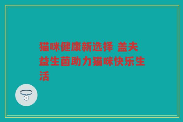 猫咪健康新选择 盖夫益生菌助力猫咪快乐生活
