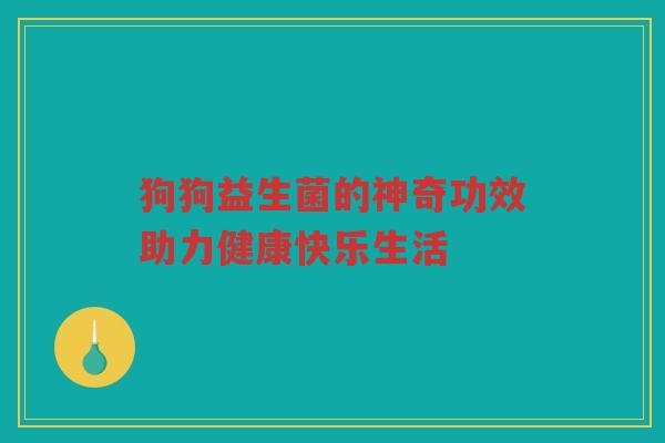 狗狗益生菌的神奇功效助力健康快乐生活