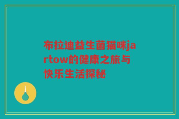 布拉迪益生菌猫咪jartow的健康之旅与快乐生活探秘