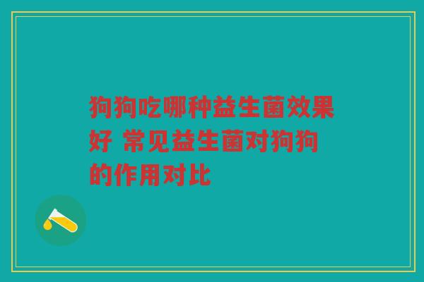 狗狗吃哪种益生菌效果好 常见益生菌对狗狗的作用对比