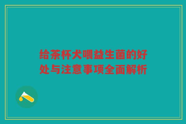 给茶杯犬喂益生菌的好处与注意事项全面解析