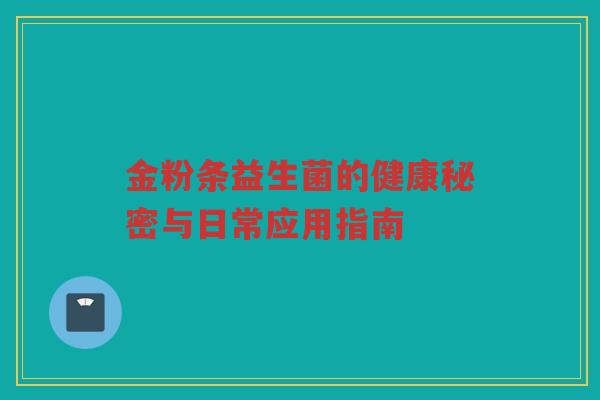 金粉条益生菌的健康秘密与日常应用指南