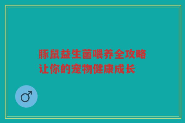 豚鼠益生菌喂养全攻略让你的宠物健康成长