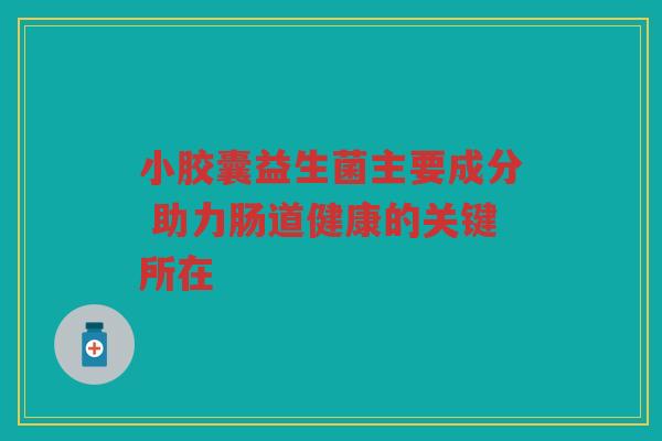 小胶囊益生菌主要成分 助力肠道健康的关键所在
