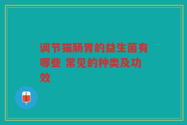 调节猫肠胃的益生菌有哪些 常见的种类及功效