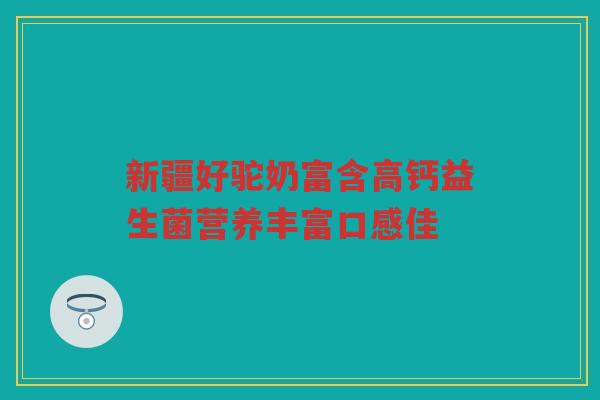新疆好驼奶富含高钙益生菌营养丰富口感佳