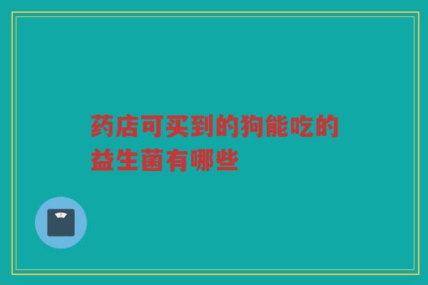 药店可买到的狗能吃的益生菌有哪些